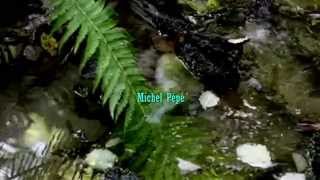 Michel Pépé - Le Sentier de la Source (new album Natura Mystica)