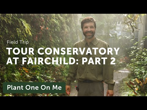 , title : 'FAIRCHILD Tropical Botanic Garden CONSERVATORY Tour: Part 2 — Ep. 305'