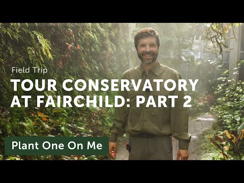 FAIRCHILD Tropical Botanic Garden CONSERVATORY Tour: Part 2 — Ep. 305