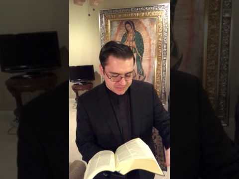 Mk 4, 26-34 "It is like a mustard seed..."