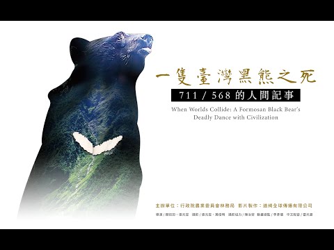 （精華短片）一隻臺灣黑熊之死 - 711 / 568的人間記事（4K）