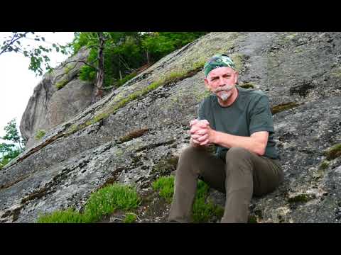 Bitwa pod Grunwaldem  - Jędrek - Luźne myśli o Grunwaldzie