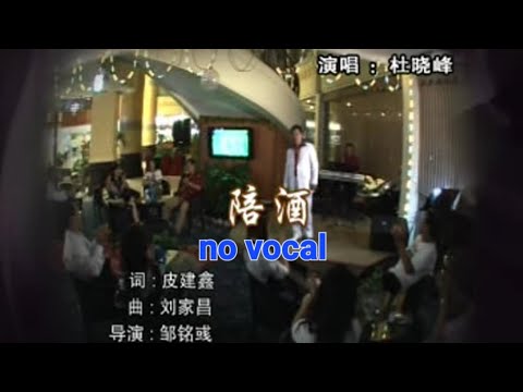 陪酒 Pei Jiu 伴奏 karaoke 杜晓峰 Du Xiao Feng
