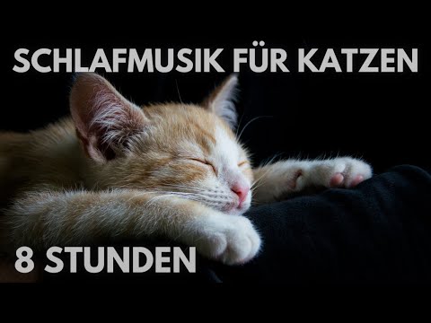 #80🐱Schlafmusik für Katzen 🐱 Entspannende Musik für Katzen und Kätzchen 🐱 8 Stunden 🐱