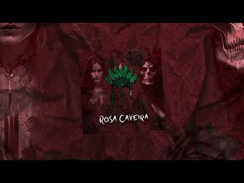 Rosa Caveira 🌹