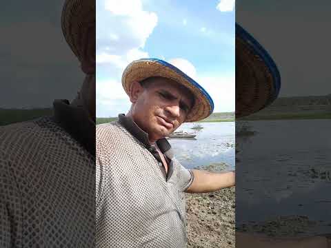 Rio Burriti povoado Jacaré município de São Bernardo-MA