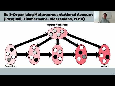 W2D5 - Mysteries - Consciousness C2 Activity Intro