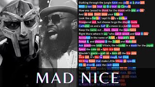 MF DOOM &amp; BLACK THOUGHT - Mad Nice | Lyrics, Rhymes Highlighted