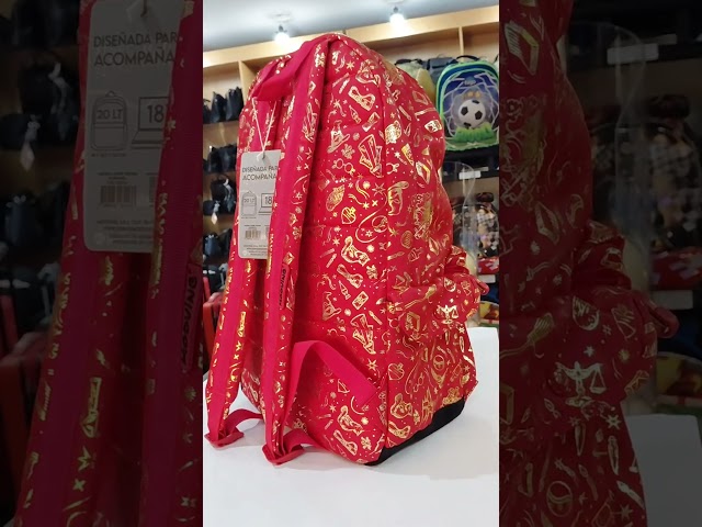 Vídeo relacionado con Harry Potter Accio-Mochila HS, Multicolor, 31 x 44 cm, Capacidad 23 L