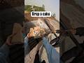 Drop a cake #parkour #pov #video #youtube #challenge #shorts #video