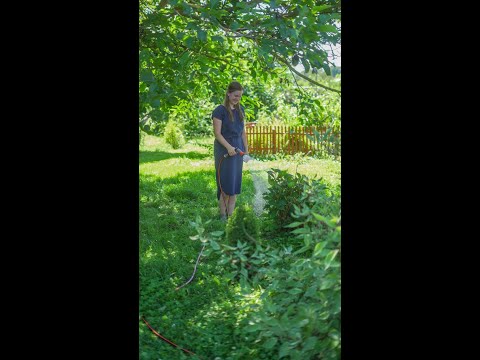 Regenwasserbewässerung