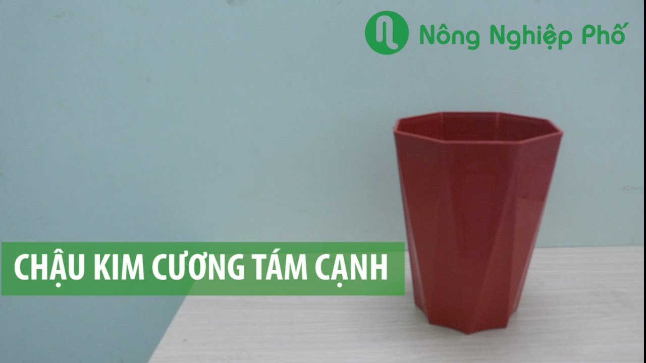 Chậu kim cương tám cạnh