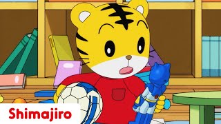 The Most Important Thing 🪁 | Family | 24 Minute Compilation | Kids video for Kids | Shimajiro