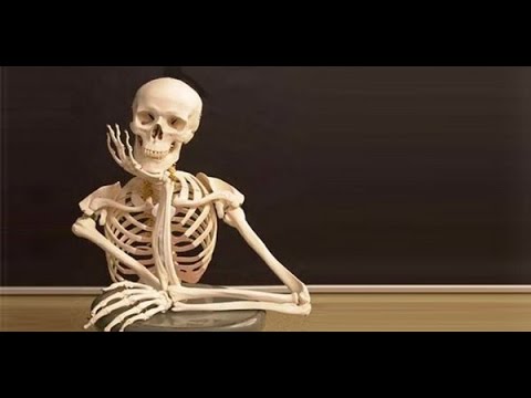 Recopilacion del Esqueleto (Loquendo)