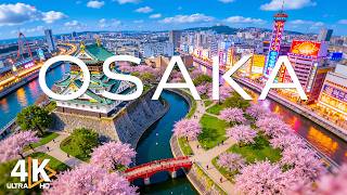 Spring in Japan [ Osaka ] 4K 🌷 Discover Cherry Blossoms, Historic Castle Views & Peaceful Urban Calm