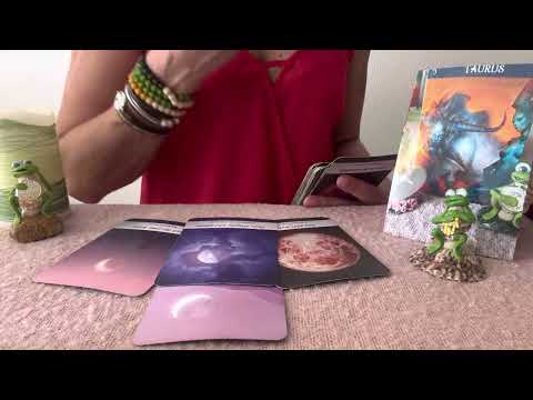 🥳STIER WOCHENHOROSKOP 13.2,-19.2.2023🥳INTILEGENTE SCHRITTE🤩TAROT WOCHENBOTSCHAFT STIET🌸