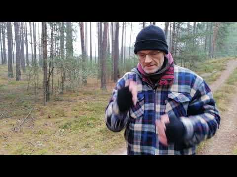 Boxing, Stickboxing & Sickle [Krzywogoniec 11.12.2020]