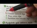 2. Sınıf  Türkçe Dersi  Görsellerle ilgili soruları cevaplar. konu anlatım videosunu izle