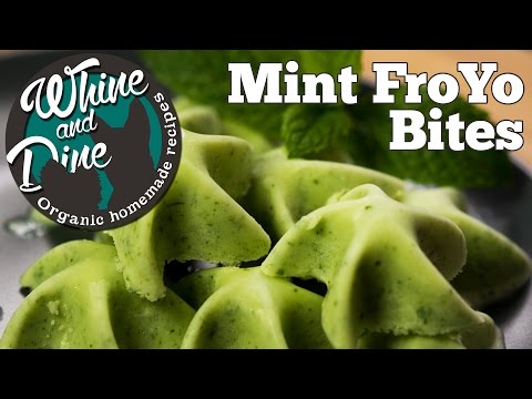 Mint Frozen Yogurt Bites for Dogs | Homemade Dog Ice Cream