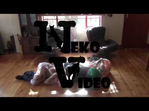 Super Neko World cover