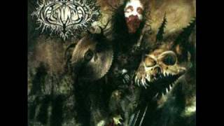 Naglfar - Wrath Of The Fallen