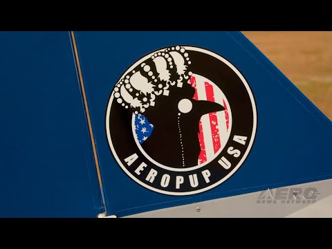 Of the Aeropup and its Pedigree