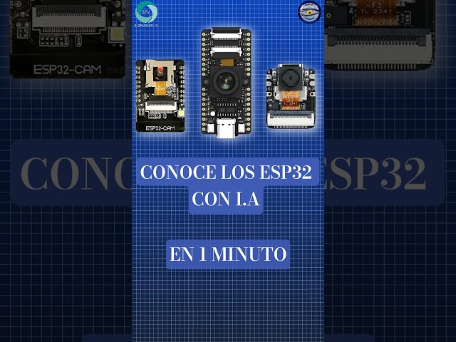 IA sin internet