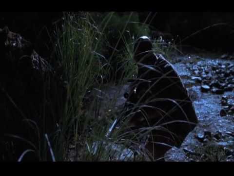 Roland Tembo captures T-Rex.