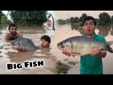 Flood Ka Pani Mein Sy Big Fish Pakri 🥳