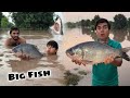 Flood Ka Pani Mein Sy Big Fish Pakri