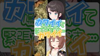 【切り抜き動画/大空スバル】鳩コメ開放されたリスナーがカワイイ【戌神ころね】#shorts