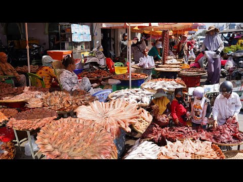 Cambodian Dry Fish Market - Amazing Fish Market Selling Dry Fish, Alive Fish & More Seafood