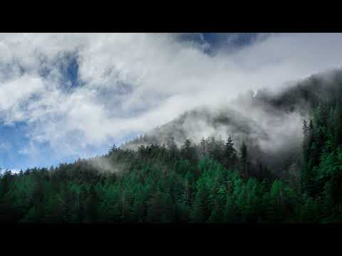 Blut Own & Zeitfall - Existence