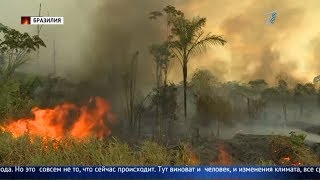 Главные новости. Выпуск от 28.08.2019