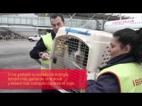 Acepte primero la política de cookies