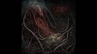 Music video thumbnail preview for Divinite Hive - Insidious Spatial Abnormality (Full EP) by Divinite Hive