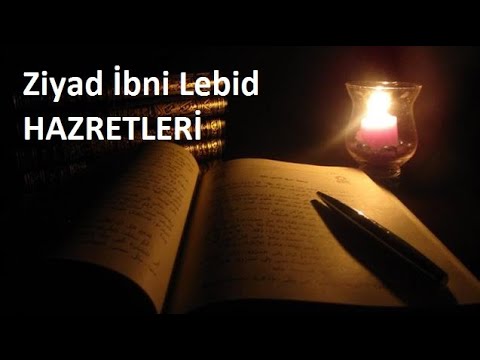 Ziyad İbni Lebid Kimdir ? Hayatı