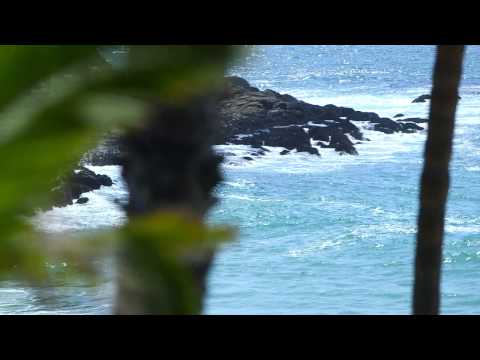 Malibu Realty TV Videos