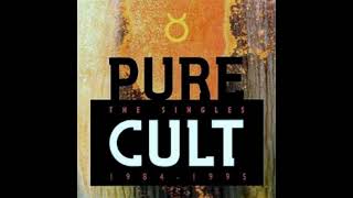 The Cult-In The Clouds