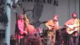 Another Tim O'Brien, Darrell Scott and Mark Schatz-Winterhawk (Greyfox) Bluegrass Festival 99'