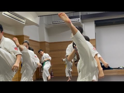 極真会師範が解説‼️倒す膝蹴り‼️後ろ蹴り、三日月蹴り‼️#極真空手 #kyokushin #空手 #karate #空手女子