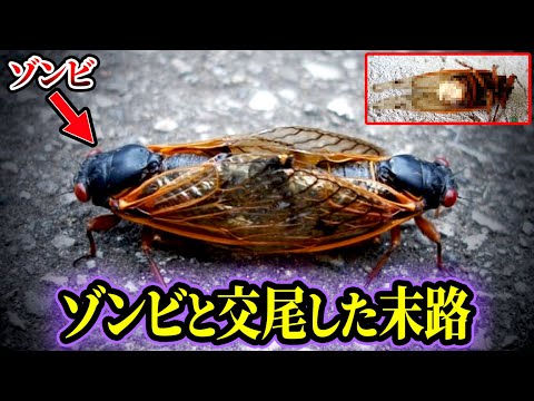 謎のウイルスで動物が「ゾンビ」に – 人間への感染も可能