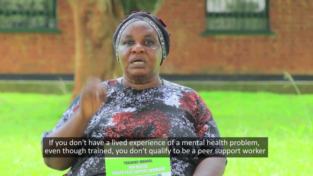 What is Peer Support Work (PSW)?