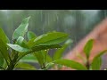 Mudhalvan Ulundhu Vithakkaiyilae Song