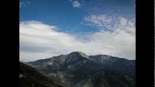 Oscar &amp; The Wolf - All We Want