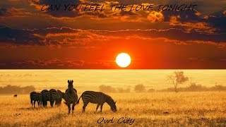 Owl City - Can You Feel the Love Tonight Extended