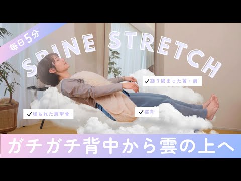 youtube-美容・ダイエット・健康記事2026/02/16 01:53:37