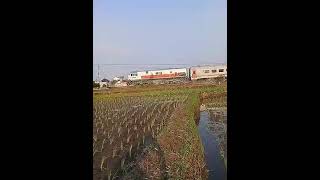 Download lagu Ngurrek belut di sore hari dekat Rel Kereta Api.. mp3