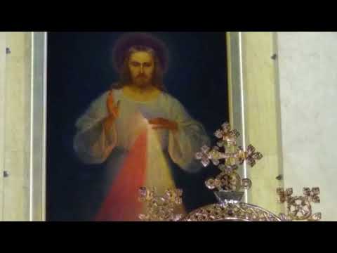 Homilija #487 Šv. José Gregorio Hernández