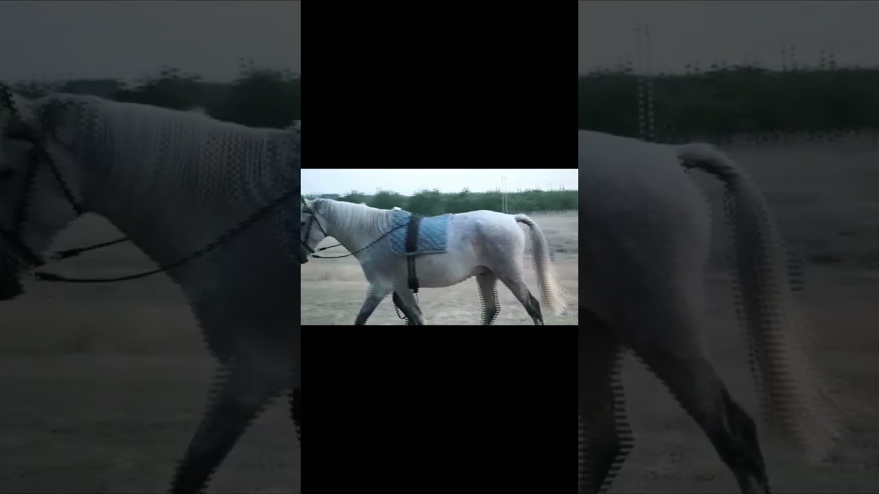 Vidéo externe